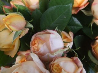 bouquet de roses